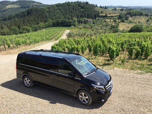 MercedesVclass-