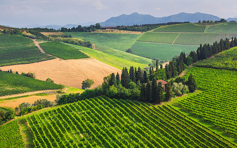 chianti-colline-1